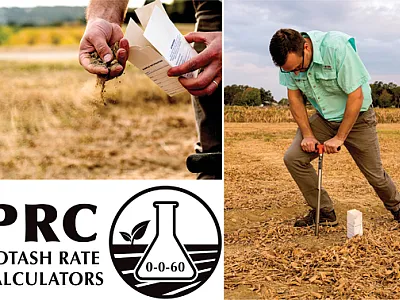 University of Arkansas soil scientist Gerson Drescher collects soil samples after a soybean harvest. Drescher was part of the team that developed the Potash Rate Calculator, available at https://agribusiness.uark.edu/decision-support-software.php##PRC. Photos by Fred Miller/University of Arkansas.