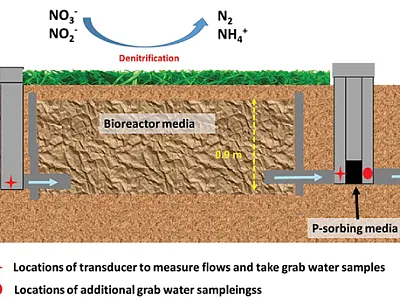 A schematic drawing of a denitrification bioreactor and P-sorbing media (not drawn to scale) installed at the edge of agricultural fields. Illustration by Olawale Oladeji.