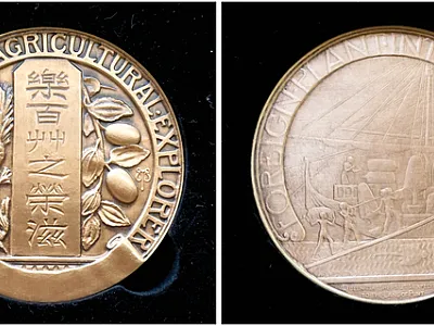 Obverse and reverse sides of the Frank N. Meyer Medal for Plant  Genetic Resources.