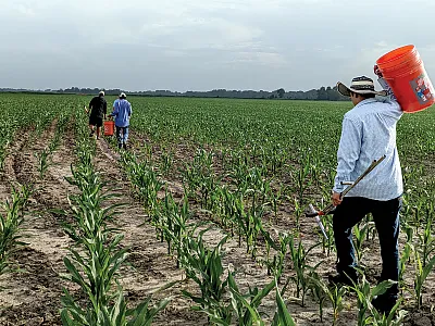 Tips for Field Data Collection This Growing Season