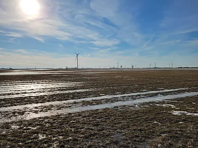 A cover-cropped field with snow and ice cover in Chatham, Ontario. Photo by Ryan Carlow.