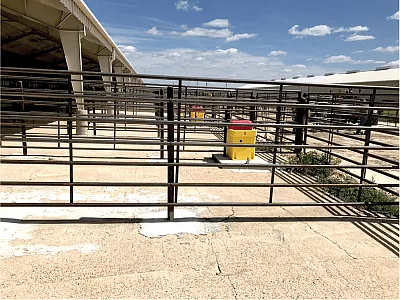 A newly built feedlot that had no prior exposure to antibiotics before the study. Photo by Tiffany Messer, University of Kentucky.