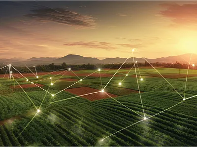 Photo by AdobeStock/IonelV.