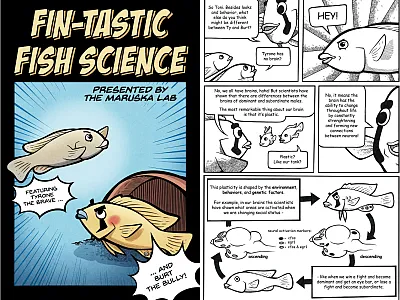 Left: The cover of Fin-tastic Fish Science, a comic book about the neuroscience of social defeat in an African cichlid fish designed to be ac- cessible to general audiences. Right: A page from Fin-tastic Fish Science in which scientific topics are explained to the characters. Gilgamesh  explains to Tyrone and Toni the physical differences between subordinate and dominant males in their species, Astatotilapia burtoni, as well as neurobiological differences shown through the use of the neural activation marke