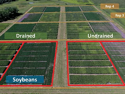 Aerial view of the study site near Wells, MN with drained and undrained blocks replicated four times containing corn and soybean crops and nitrogen treatments. Photo by Gabriel Paiao.