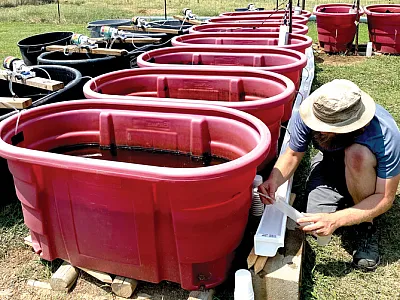 The experimental setup for testing the nutrient removal potential of woodchip bioditch reactors at the Arkansas State University Farm Complex in Jonesboro, AK. Photo by Jerry Farris.