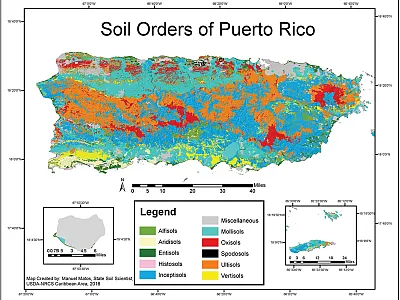 Figure 1. Soil orders of Puerto Rico.