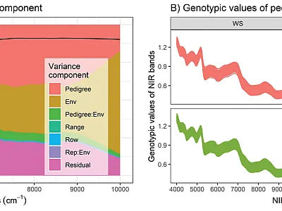 The explained percent variation across all 3,112 NIRS bands in this study (A) and genotypic values of all NIRS bands displayed for each environ- ment (B). CS11 and CS12 denote the year data were collected (2011 and 2012) while WS denotes water-stressed conditions and WW denotes  well-watered conditions. Image from DeSalvio et al. 2024.