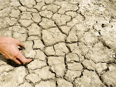 Cracks and soil clumps called “aggregates” can form when saline-sodic, high-clay soil dries out. Soil moisture, clay content, and aggregate size all affect soil aggregate stability. Photo by Peggy Greb, USDA-ARS.