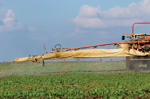 Flea beetles show neither tolerance nor resistance to the common foliar insecticides used by canola growers. Photo courtesy of Adobe Stock/kocsisanyi78.