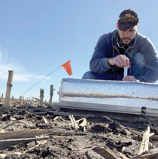 With the static chamber system, gas samples are manually collected over a period of time, and gas concentrations are measured in the laboratory with a gas chromatograph. Photo by Giovani PrezaâFontes.