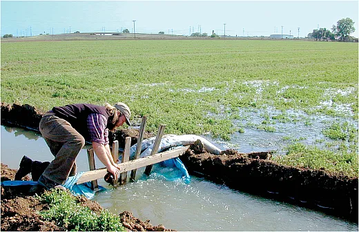Water can move from fields infested with alfalfa stem nematode to new fields. ©2002 Regents of the University of California. Used by permission.