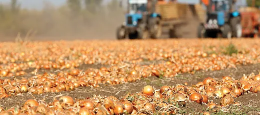 Photo courtesy of Adobe Stock/Africa Studio.