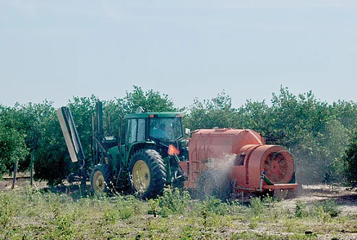 Citrus grove irrigation. UF/IFAS photo by Sally Lanigan. 