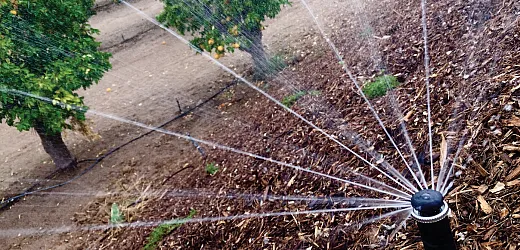 Water considerations when it comes to cover crops include whether you have enough to sustain both your cover and cash crops and whether itâs too expensive if you use irrigation. Photo courtesy of Adobe Stock/Andy Dean. 