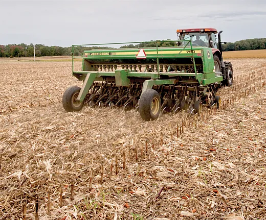 Cereal rye as a cover crop is typically planted in the fall after harvest of the cash crop. Photo by Edwin Remsberg. 