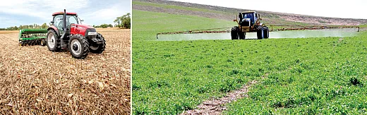 Planting and termination are two direct costs of cover crops. Photos courtesy of (l to r) Edwin Remsberg and Lynn Betts. 