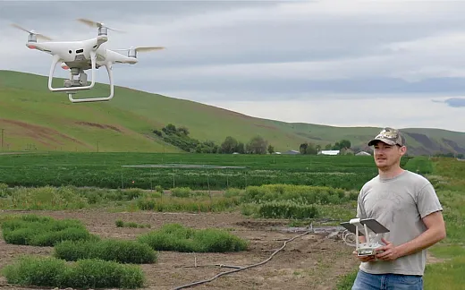 Biological research technician Britton Borland flying an unpiloted aerial vehicle for highâthroughput imaging and analyses of bitter vetch germplasm in a field planting on the Central Ferry, WA research farm. Photo by C. Coyne. 