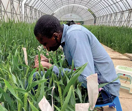 As professionals, we often make sacrifices for our careers. We move to different states away from our extended families, we have fewer children, and we work more hours, devoting fewer to social and leisure activities. Photo by Aduragbemi Amo. 