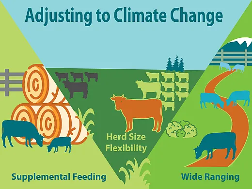 Illustration by Karen Brey.