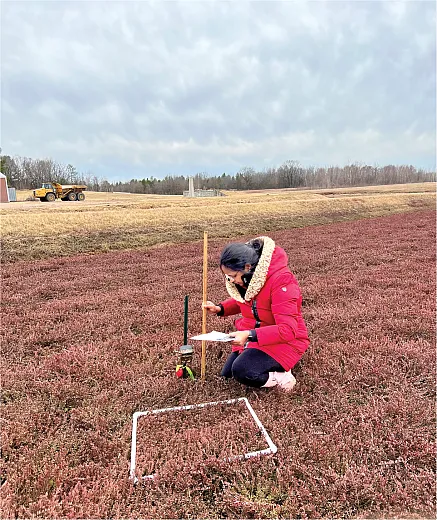 Photo courtesy of Jyostna Mura.