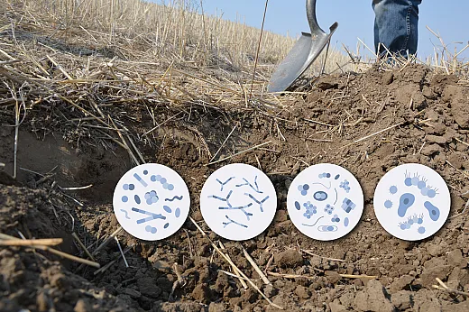 Fostering microbial diversity