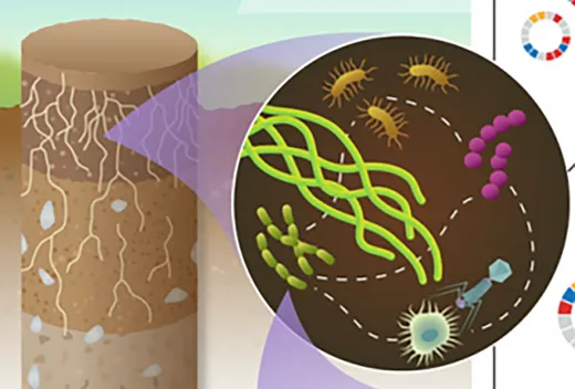 Illustration adapted from the Pacific Northwest National Laboratory.