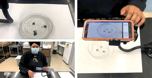 Figure 2. The laboratory method for slaking test used three air-dried pea-sized (0.08â0.59 inches) soil aggregates, a petri dish of water, and a smartphone with the free âSLAKESâ application.