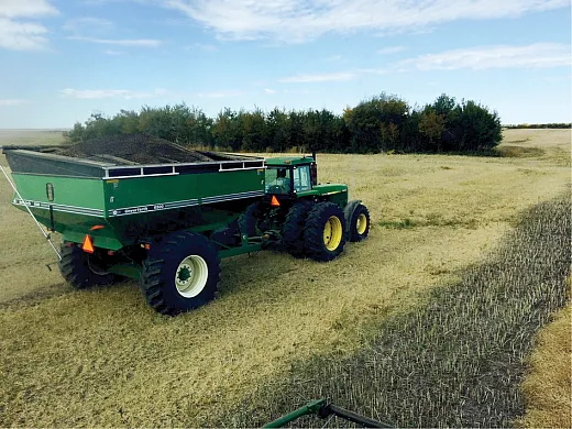 A truck carries recently harvested canola. Photo by Jaron Bye. 