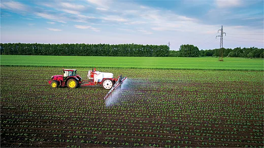 Photo courtesy of iStock/valio84sl.