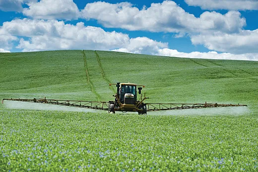 Fungicide application is critical when using any combination of high N rates, highâdensity planting, and narrow crop row spacing in flax. Photo courtesy of All Canada Photos/Alamy Stock Photo.