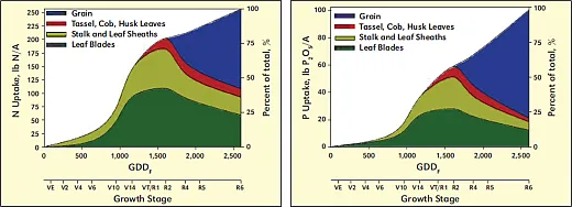 Figure 1. Seasonal patterns of total corn N and P uptake partitioned across four plant parts. Figures adapted from Bender et al. (2013).