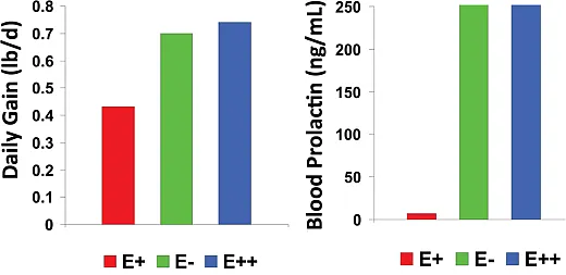 Figure 4. Daily gain and prolactin production of sheep grazing tall fescue infected with atoxic endophyte (E+), tall fescue not infected (E-) with an endophyte, and tall fescue reinfected (E++) with a novel endophyte (Parish et al., 2003a).