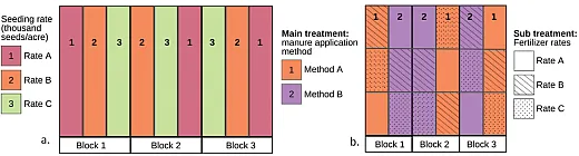 Figure 1. Traditional onâfarm research methods: (a) randomized complete block design and (b) stripâplot design.
