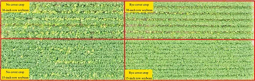 Figure 5. Iowa research demonstrates the benefit of stacking multiple strategies to manage waterhemp. Integrating cultural tactics like a cover crop and narrow rows with herbicide results in substantially better weed control than herbicide alone. Source: Ramawatar Yadav, Iowa State University.
