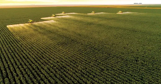 Mepiquat chloride application strategies may need to be reâevaluated from season to season, depending on cultivars, production inputs, environmental conditions, and field growth history. Photo courtesy of Adobe Stock/LourenÃ§o Furtado.