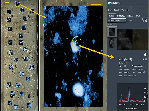 Anahita Khosravi, a Ph.D. student at the University of Massachusetts Amherst, used laser direct infrared spectroscopy (LDIR) to examine microplastics in organic fertilizer. The image above depicts the process. At left is an LDIR slide covered in microplastics extracted from a compost sample. In the center is an enlarged image of one polyethylene microplastic particle (circled in yellow). At right is the spectrum of the polyethylene microplastic particle and its characteristics. Image courtesy of Anahita Khosravi.4o