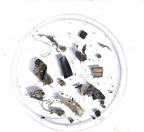 Anahita Khosravi, a Ph.D. student at the University of Massachusetts Amherst, first removed macroplastics from samples of organic fertilizer before analyzing them for microplastics. Pictured here are macroplastics she extracted from just 50 grams of compost. Photo by Anahita Khosravi.