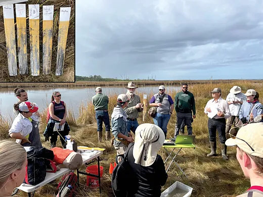 Figure 2. Attentive group discussing new applications of IRIS (Indicator of Reduction in Soils) technology for measuring soluble sulfide levels in marsh porewater. Inset: IRIS showing black FeS coatings formed quickly when deployed in the marsh soil. Photos by Jocelyn Wardrup.