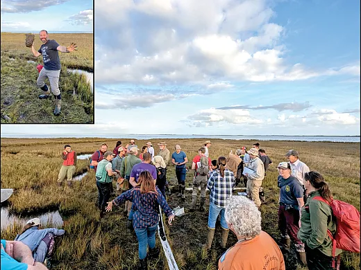Figure 3. The group gathered near the edge of Sinepuxent Bay in Worcester County, MD to discuss tidal marsh pedogenesis and the high magnitude of carbon sequestration in coastal mainland (PGU) marshes. Inset: Matt Hostrander poses with a histic epipedon. Photos by Colby Moorberg and Matt Hostrander.