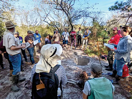 Figure 4. Engaged discussion of carbon dynamics, pedogenesis, and nearby hydric soil indicators while examining a pit in recent overwash deposits on Assateague Island. Photo by Grace Bodine.