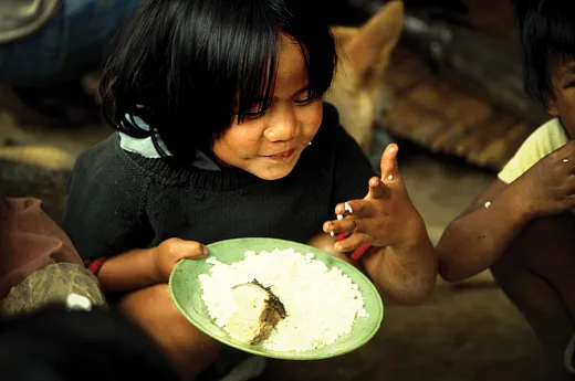 People who subsist largely on rice suffer a double whammy: They eat a lot of a crop that tends to accumulate cadmium, and their bodies lack important nutrients that could help protect them. Photo courtesy of Flickr/IRRI Photos. Reproduced via this license: https://creativecommons.org/licenses/by-nc-sa/2.0.