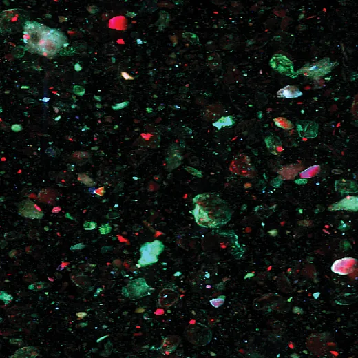 âElemental Mapâ by Chandima Wekumbura was the Soils Best Photo during the photograhy and video contest held during the 2023 Annual Meeting in November.