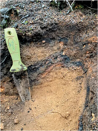 Typical soil profile at the study site, 0â30cm. Photo courtesy of J. Hatten.