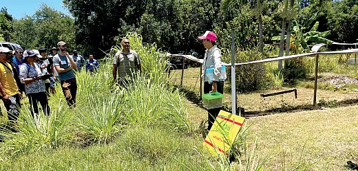 During the Waimanalo Research Station Tour, the group visited the lizard ecology program site where they learned about lizard diets and temporal effects on lizard ecology. Photo by Sandya Kesoju.