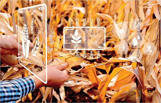 Photo by AdobeStock/DSM.