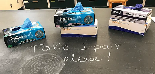 In the self-guided learning labs studied in âStudent Perception and Performance with Self-Guided Learning in Soil Science Laboratory Courses,â students picked up materials and tools, including gloves pictured here, before completing the lab. Photo courtesy of Hannah Angel.