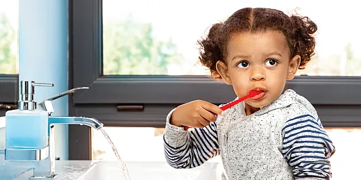 Photo courtesy of AdobeStock/Viktoriia.