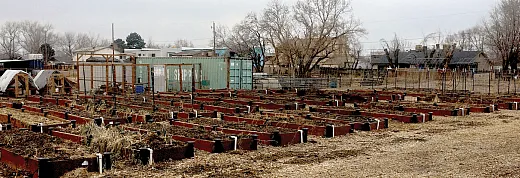 Community garden in Salt Lake County, UT. Photo by Eli Oliver and Melanie Stock.