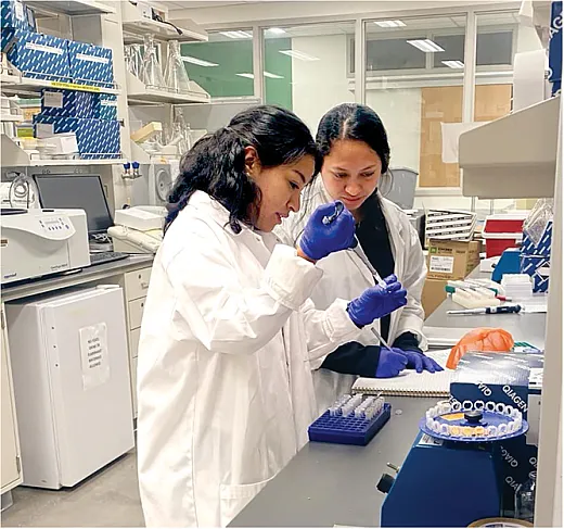 Training lab student assistants on proper pipetting technique for DNA extraction at Purdue University. Photo by Eunice Centeno.